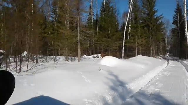 БНГФ Сейсма смотреть онлайн