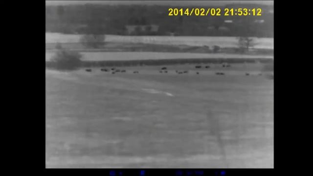 Looking out HD38s смотреть онлайн