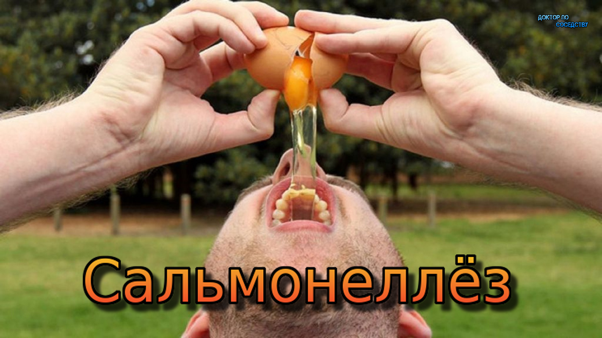 Сальмонеллёз