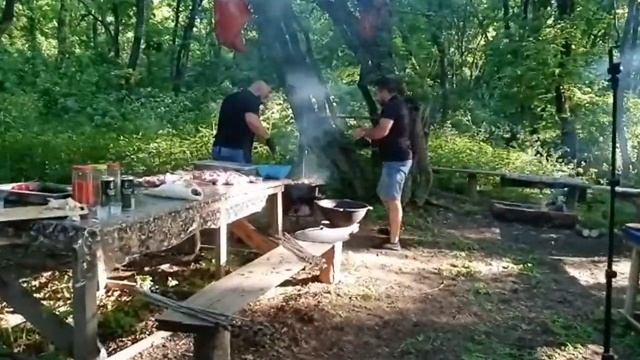 Мы в лесу смотреть онлайн