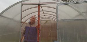 Москитная сетка на дверь теплицы