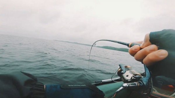 Водло озеро 2020. (Карелия). Судак на 7,4 кг/ (Evergreen poseidon salty sensation psss 82t)