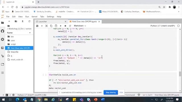 Module 6 Unified Shared Memory USM concepts смотреть онлайн