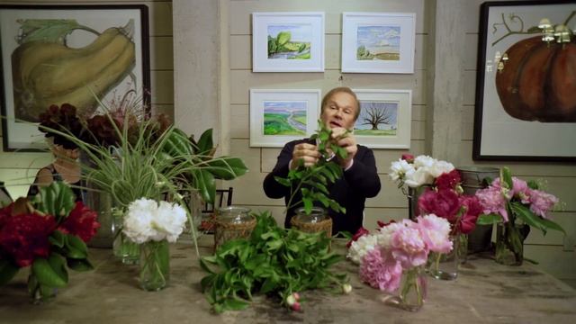 Peonies | Growing Tips & FAQ: Garden Home VLOG (2019) 4K смотреть онлайн