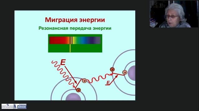 Энергетика клетки. Автотрофы смотреть онлайн