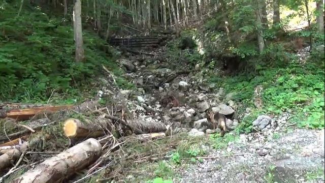 Должна ли собака гулять в наморднике? Немецкая овчарка - в горах. Австрия Штирия. Отпуск в Австрии смотреть онлайн