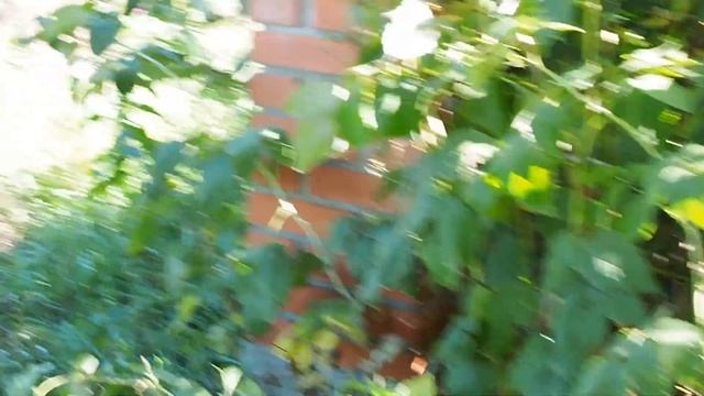 Один день в деревне. Одна без мужа с тремя детьми. смотреть онлайн