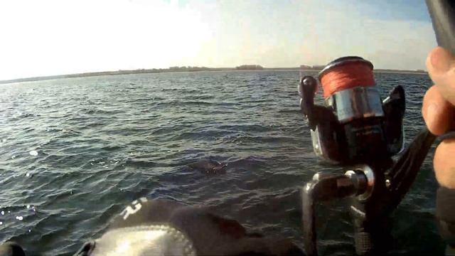 13 кг щука. Ловля трофейной щуки. Щука клюет на троллинг. Трофейная щука. Fishing trolling. смотреть онлайн