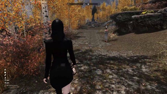 #726 Rigmor Of Bruma Part15:To Riften