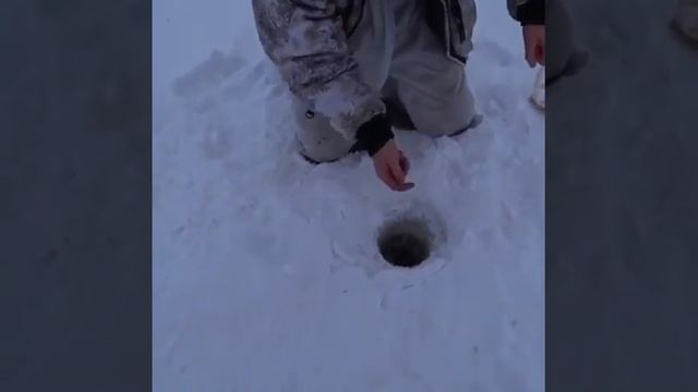 Зачётный горбач. Матросик. смотреть онлайн