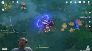 2 скрытых сундука  в нутри пней в Чаще Апам / Сумеру / Геншин Импакт