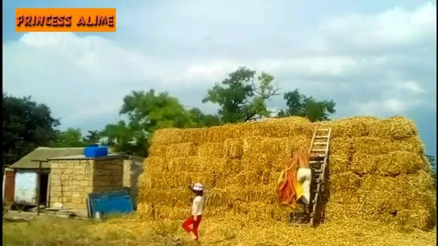 Солома в тюках смотреть онлайн