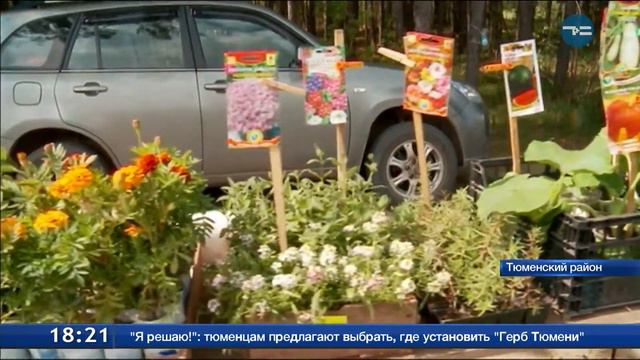 Дачный сезон смотреть онлайн