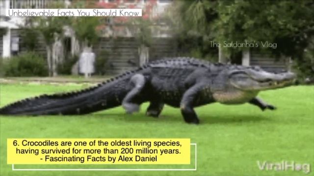 UNBELIEVABLE WORLDS FACTS YOU SHOULD KNOW || FASCINATING / INTERESTING FACTS || TSV 485 смотреть онлайн