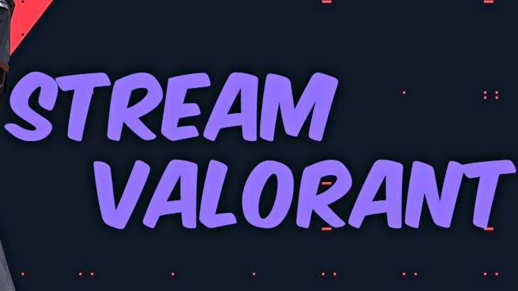 Играем в VALORANT.