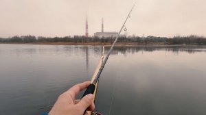 Спиннинг для дальнего заброса Crazy Fish Arion 3 14 г 2,8 метра