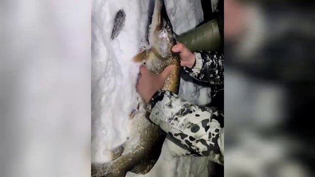рыбалка на Каме смотреть онлайн