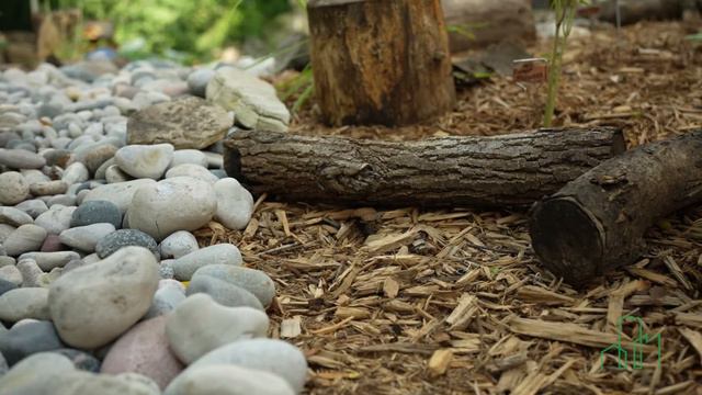 Ellie's Rain Garden Tour смотреть онлайн