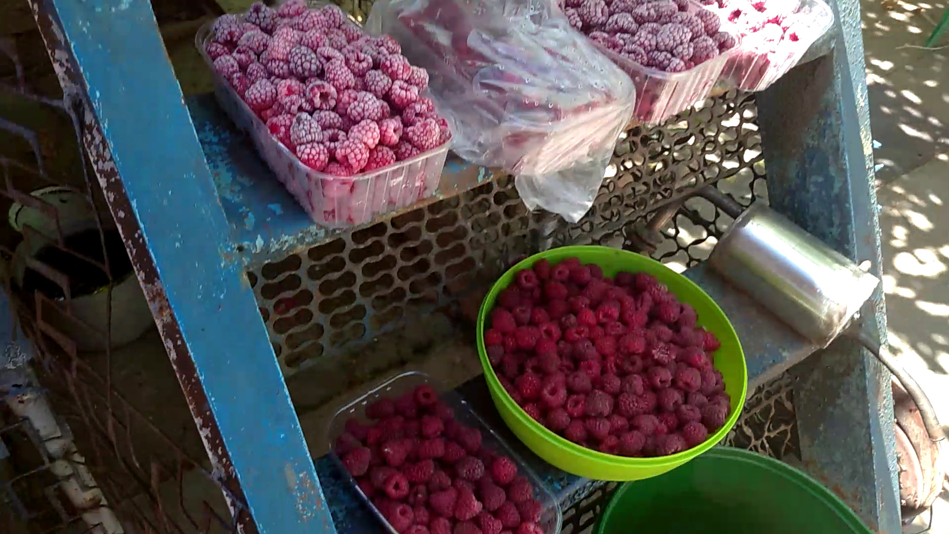 Вино из малины!как приготовить вино из малины.