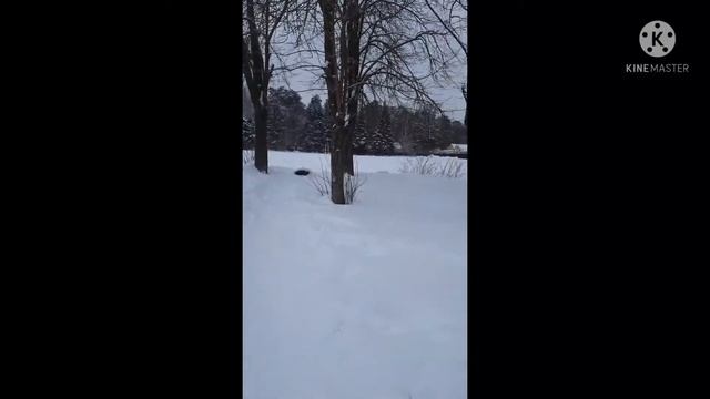 Выезд к клиенту. Парикмахер на дом ? / В чужом районе . смотреть онлайн