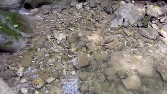 ЛАЗАРЕВСКОЕ смотреть онлайн