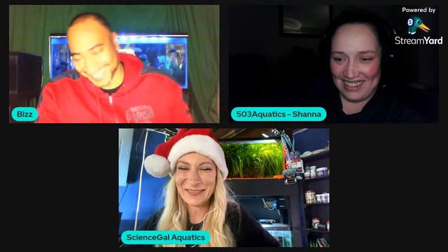 THE GIVEAWAY смотреть онлайн