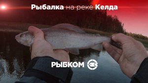 Архангельская область. Новые места для рыбалки. Ловля хариуса. Часть 8 - Рыбалка на реке Келда