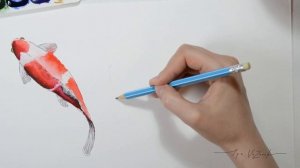 Рисунок Карпа Кои акварелью, уроки рисования Рыб Кои, пошаговый рисунок, ускоренный с подсказками