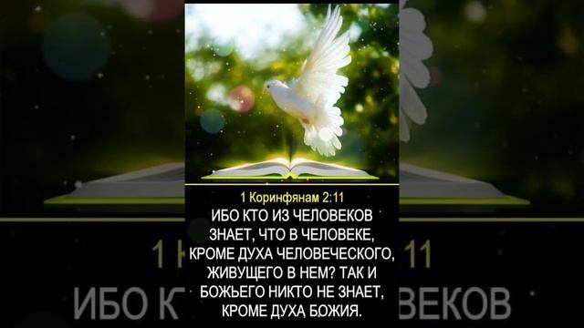 С добрым утром февраля!  ХРИСТИАНСКОЕ ПОЖЕЛАНИЕ!