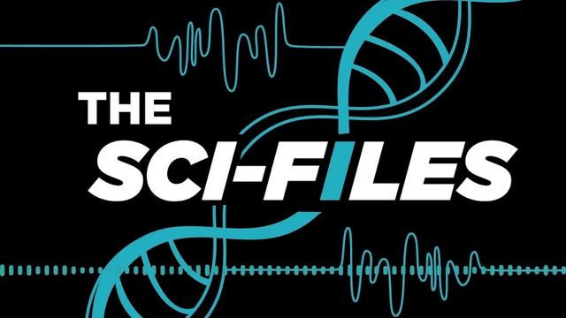 Health Services in Underserved Communities - The Sci-Files on Impact 89FM - Full Episode смотреть онлайн