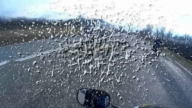 Новогодний пробег Дедов Морозов смотреть онлайн