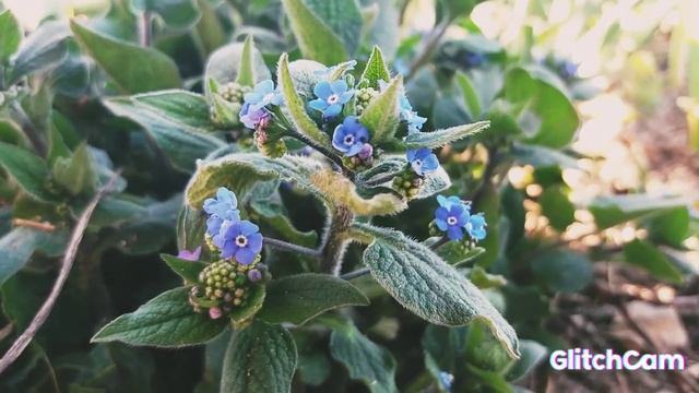 Музыка природы. Music of nature. смотреть онлайн