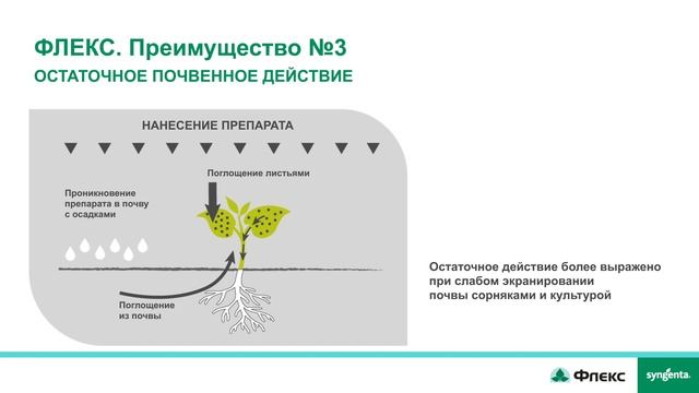Гербицид ФЛЕКС – эффективность против трудноискоренимых сорняков на Дальнем Востоке. смотреть онлайн