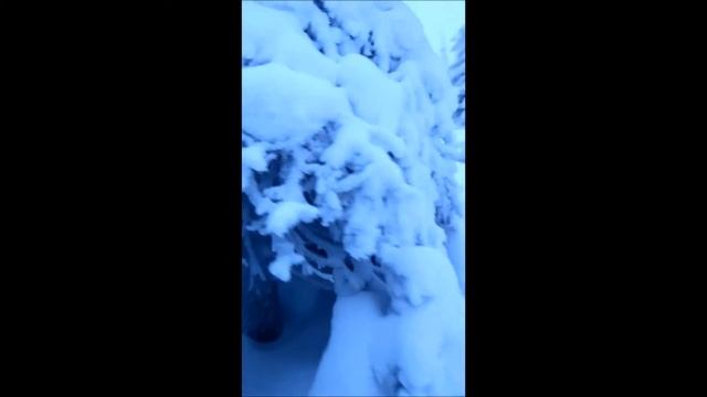 сказочная карелия 2 смотреть онлайн