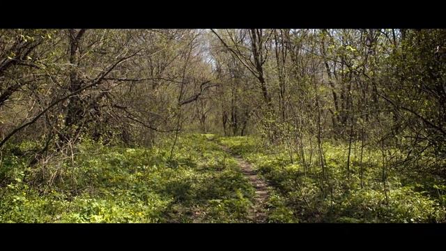 День Горы. Каменка. Храм на Горе. Весна 2014г. смотреть онлайн
