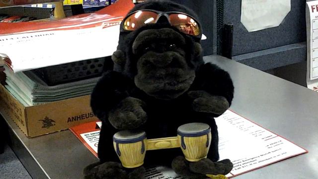 Monkey playing music on the bongo drums смотреть онлайн