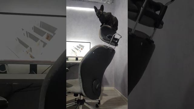 Ва на стуле смотреть онлайн