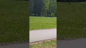 10-летний мальчик учится ездить на Альфе