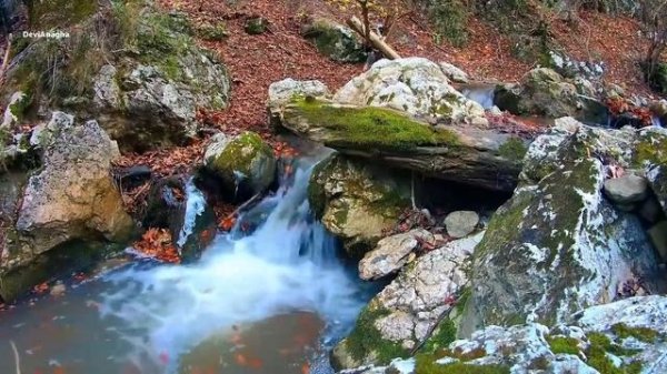 Morning Flute Music | Meditation  Flute Music | HIMALAYAN FLUTE | Mountain Flute,Yoga*144@Devianagh