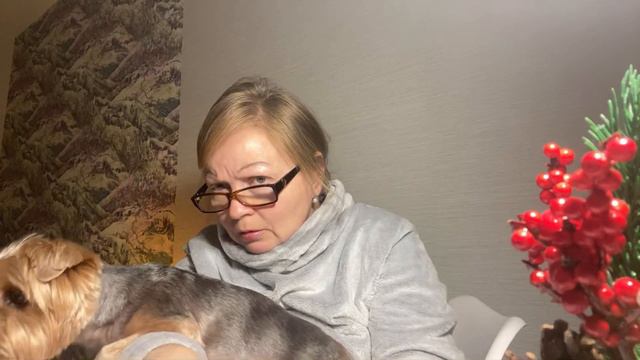 Проверка тетрадей. смотреть онлайн