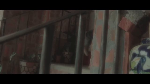 Alcalde la Sonora - Dónde estás? - Videoclip Oficial смотреть онлайн