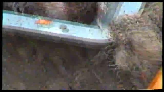 Захоронение найденное местным населением. Рассказ о танке. Архив. Работы поисковых отрядов смотреть онлайн