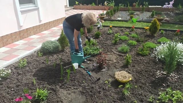 Как сажать пузыреплодник смотреть онлайн