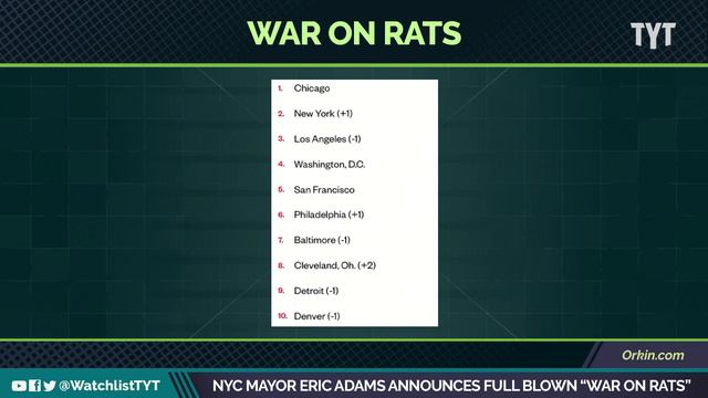 New York City Mayor Declares WAR ON THE RATS смотреть онлайн