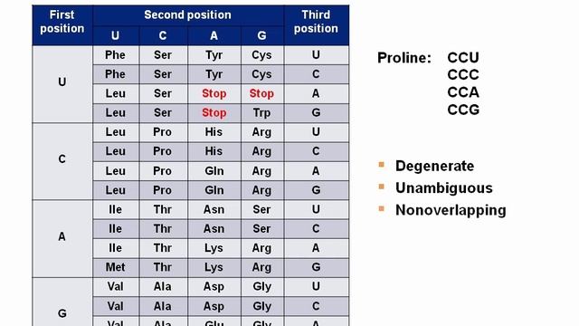 Genetic Code Features.mp4 смотреть онлайн
