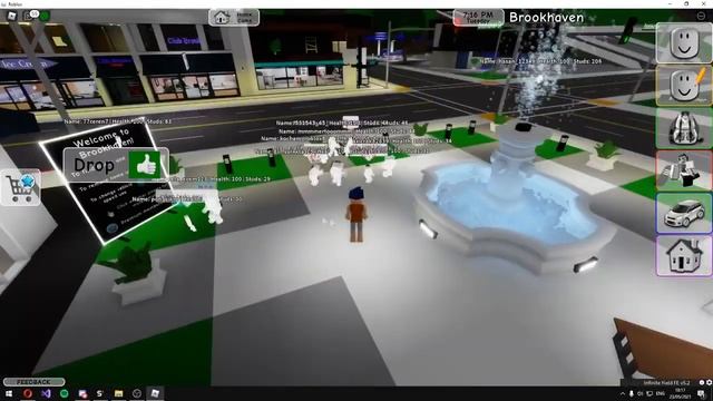 ROBLOX BROOK HAVEN RP ADMIN SCRIPT NEW PASTEBIN смотреть онлайн