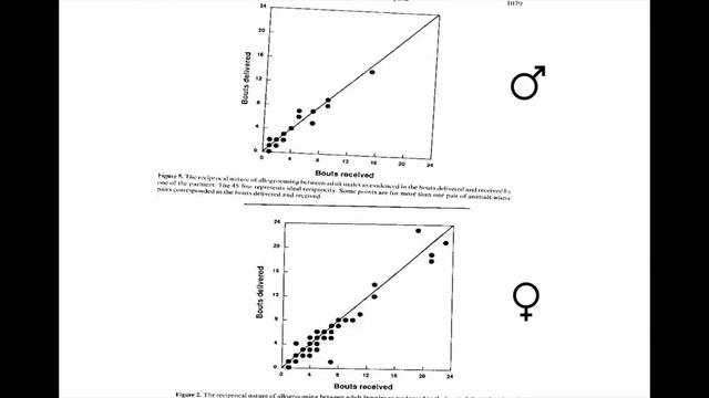 Lecture 5 part 3 Reciprocal Altruism смотреть онлайн