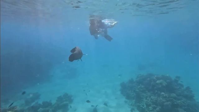 Загадочные руины