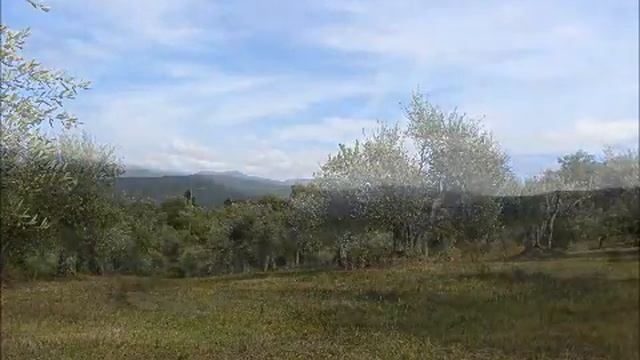 casale con uliveto da ristrutturare in vendita in toscana, sul Monte Amiata in Castel del Piano смотреть онлайн