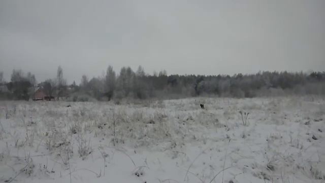 Снег идет... смотреть онлайн